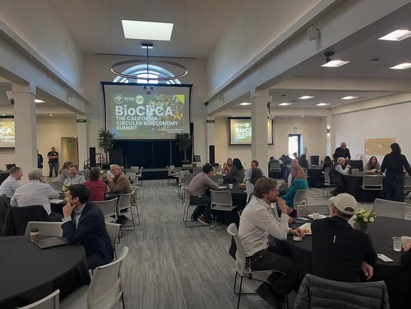 Nonprofit team activity